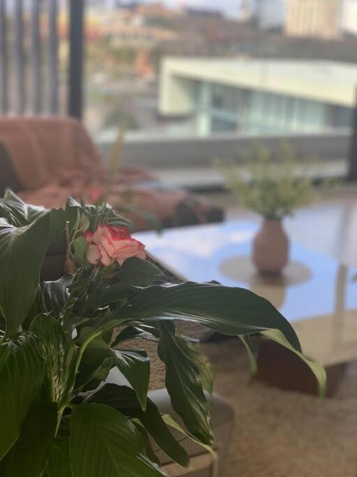 Carlton Stunning View Apartment 150M Away From University Of ملبورن المظهر الخارجي الصورة